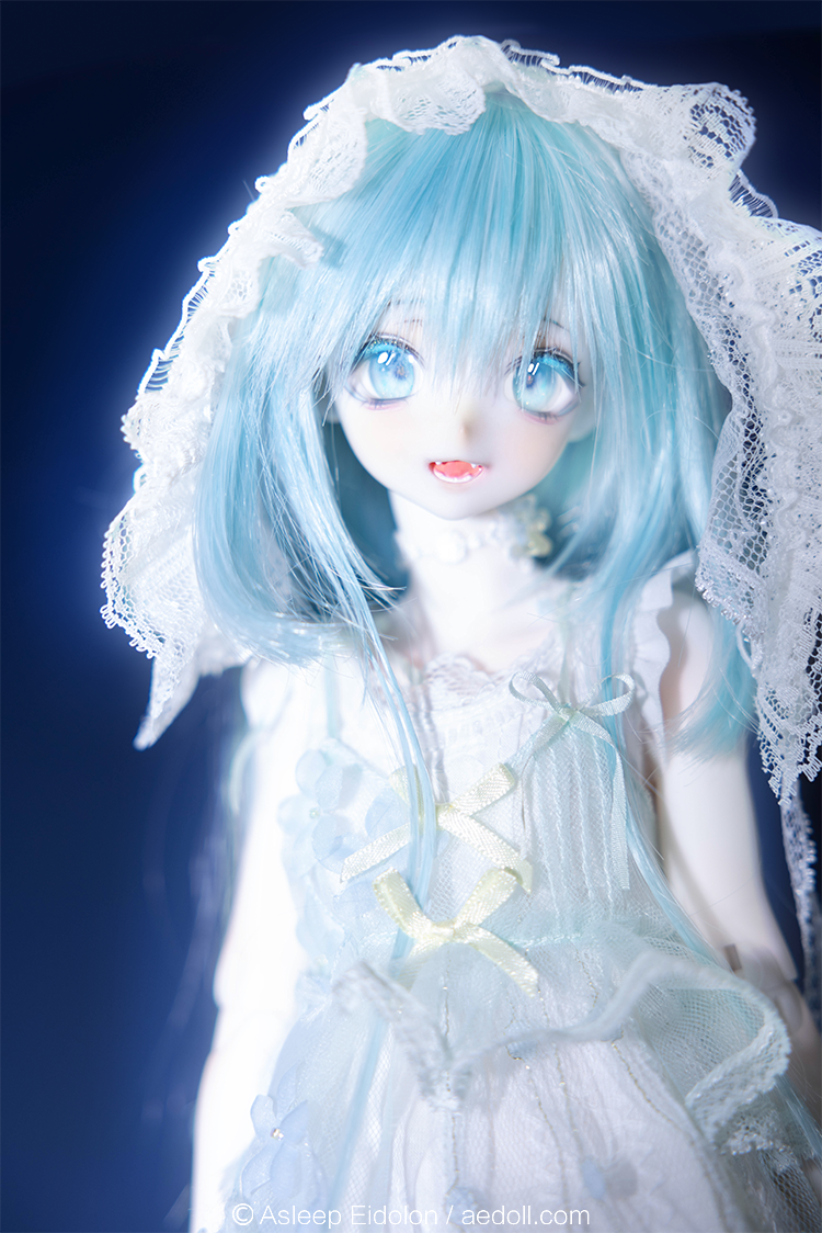 SHUJIN | PREORDER | DOLL
